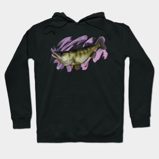 Zander Hoodie